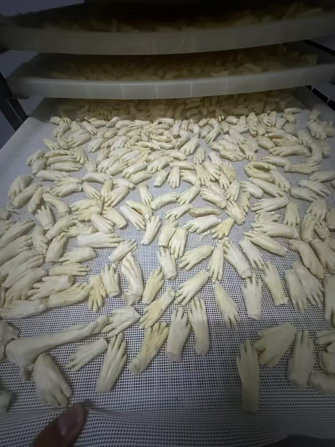 宠物产品