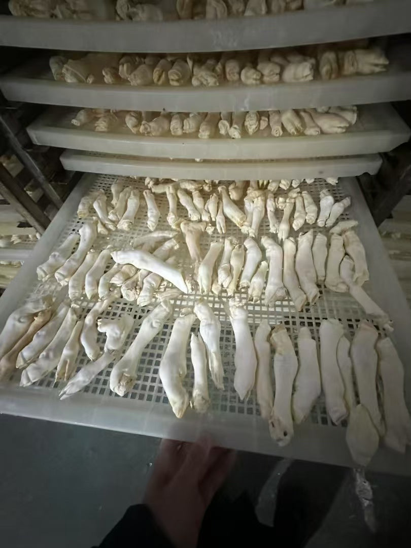 宠物产品