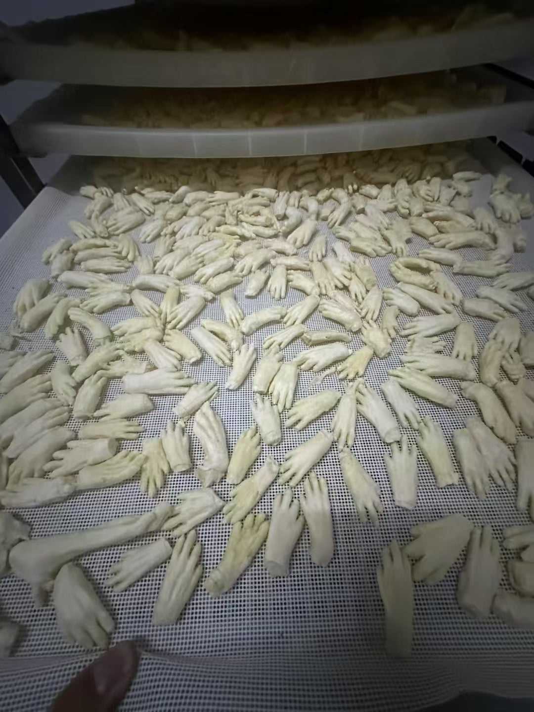 宠物产品